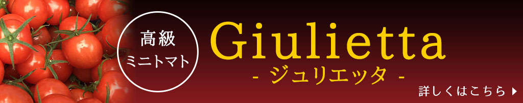 桃太郎トマト・トマトドレッシング大好評発売中！